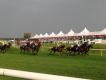 Coopers MArquees at Doncaster